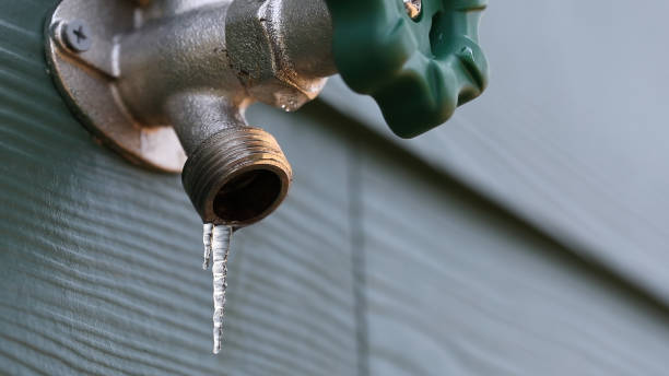 Shower Repair Services in Tok, AK