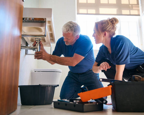 Best Plumbing Inspection Services  in Tok, AK